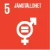 FN:s globala mål 5: Jämställdhet
